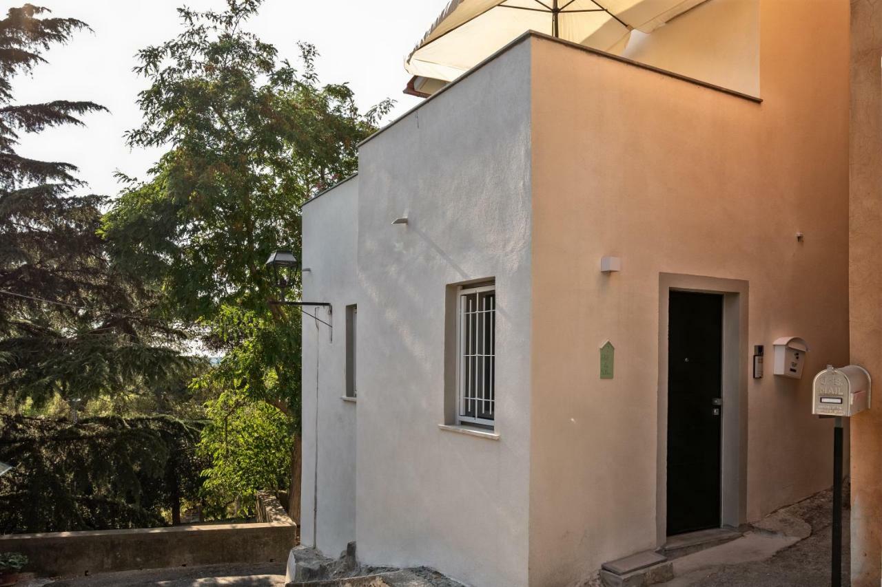 La 31 - - Affittacamere Rosignano Marittimo